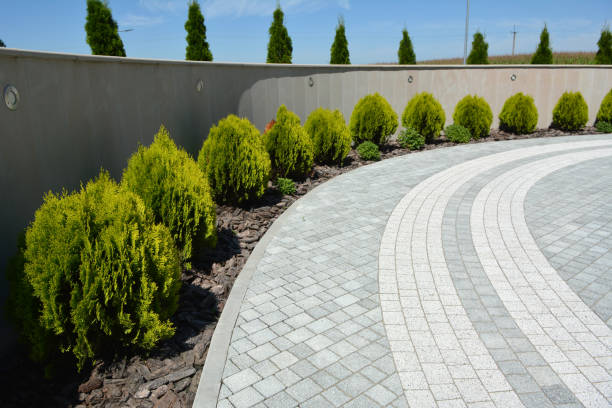 Best Concrete Paver Driveway  in Lees Summit, MO